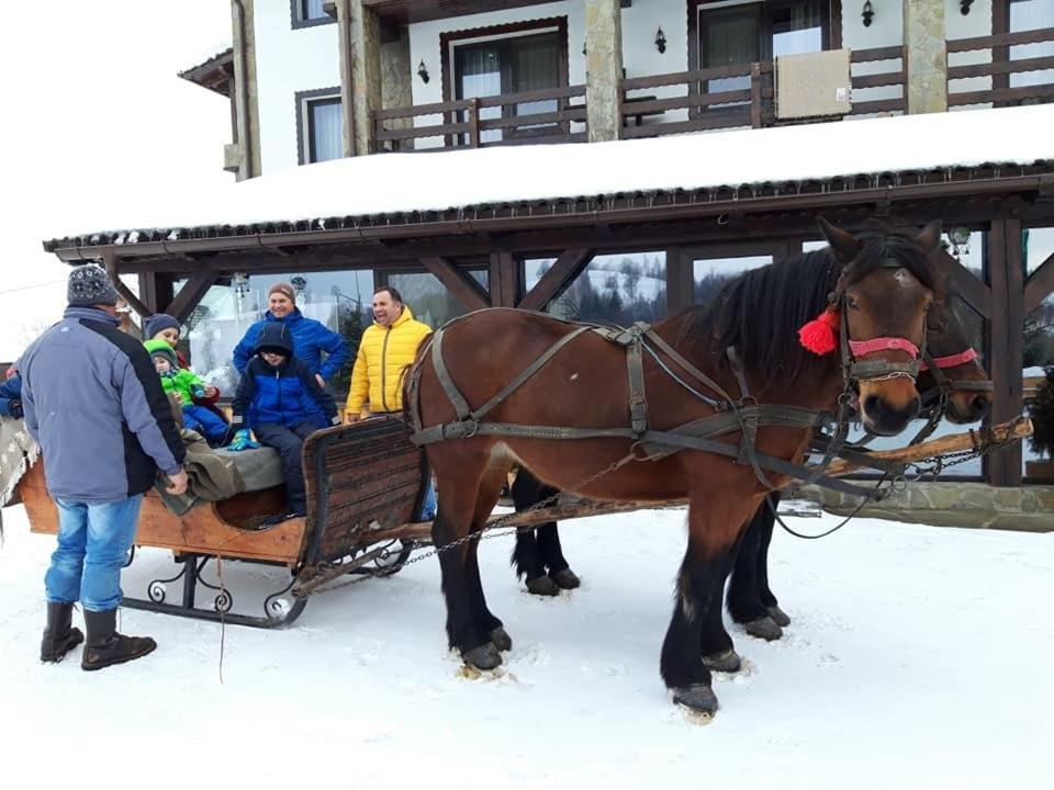 Întorsura Buzăului Casa Bradet 게스트하우스 외부 사진