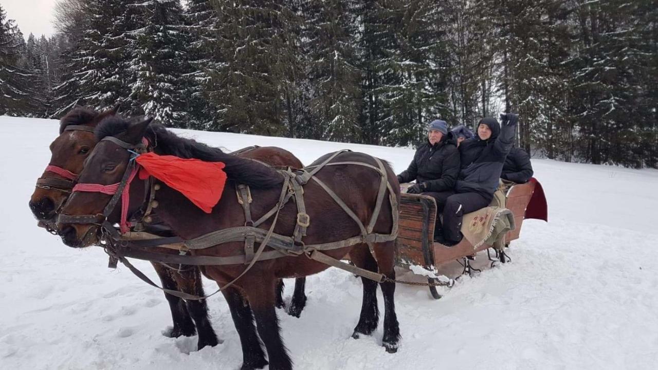 Întorsura Buzăului Casa Bradet 게스트하우스 외부 사진